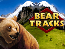 Bear Tracks