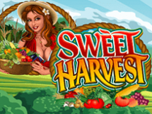 Sweet Harvest